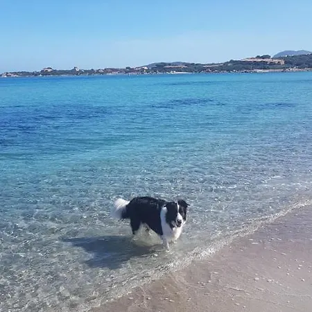 Sophie